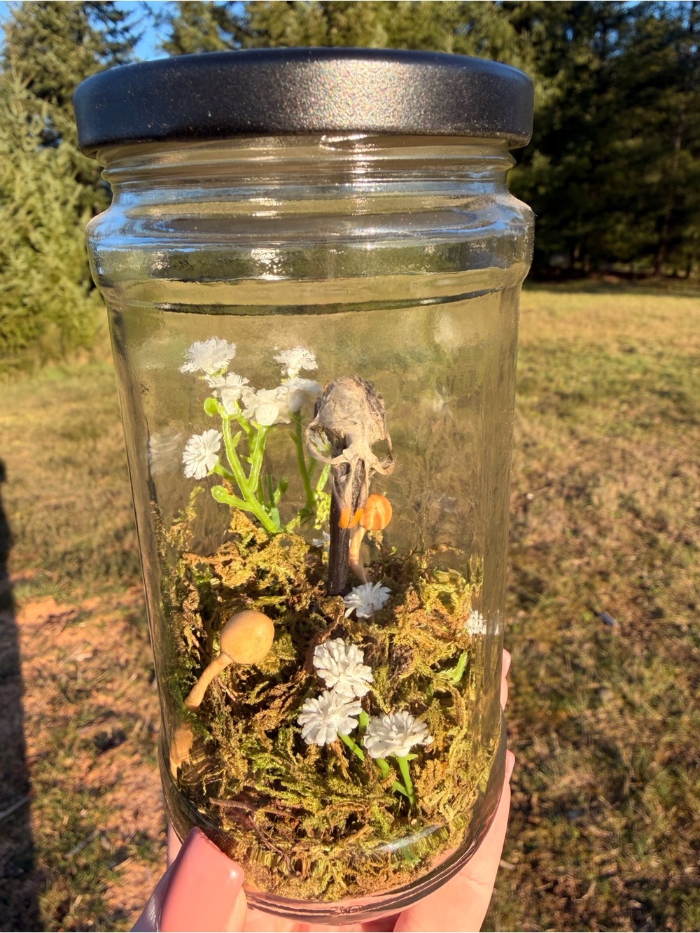 Glass Terrarium Jar with Black Lid - Mini Moss & Floral Display
